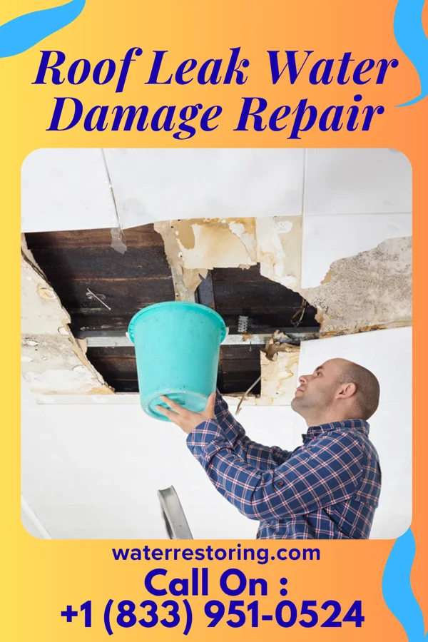Roof Leak Water Damage Repair in Cactus, TX